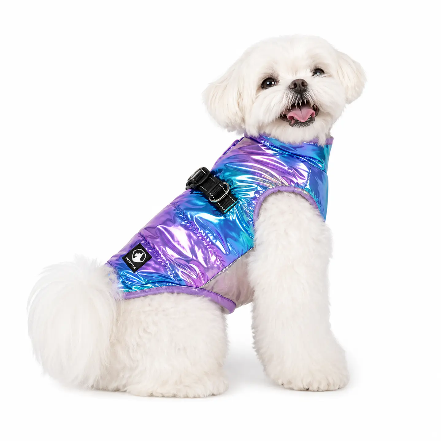 Parka Galaxy para Perro 1