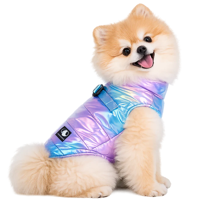 Parka Galaxy para Perro 4