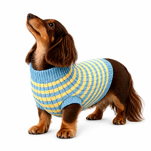 Sueter tejido mascota azul-amarillo