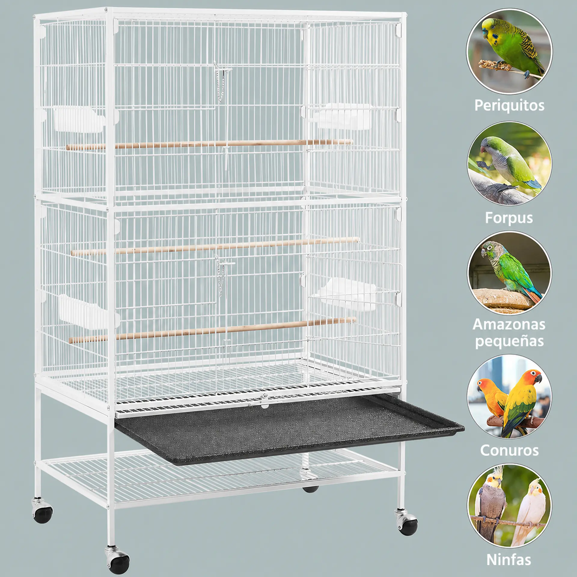 A33 Jaula para Pinzón, Periquito y Cacatúa – 79 x 52 x 130,5 cm 4