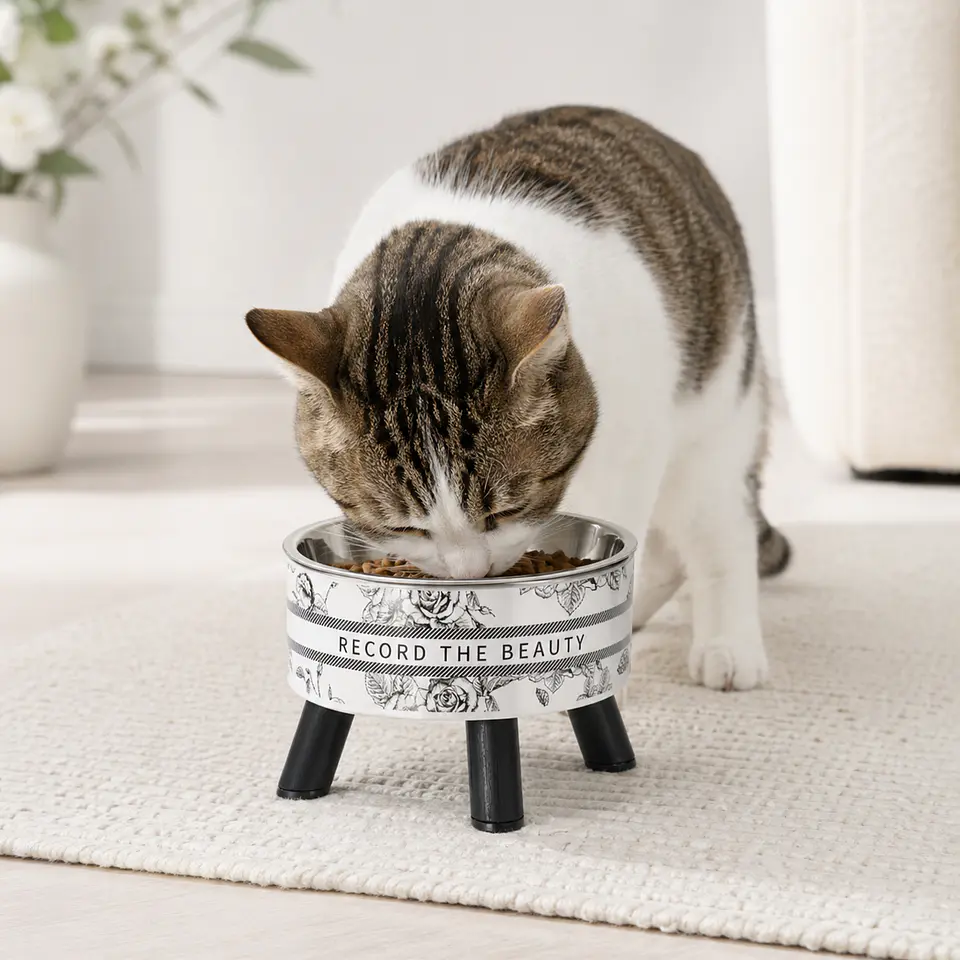 Plato elevado para gato – Acero inoxidable 450 ml 5