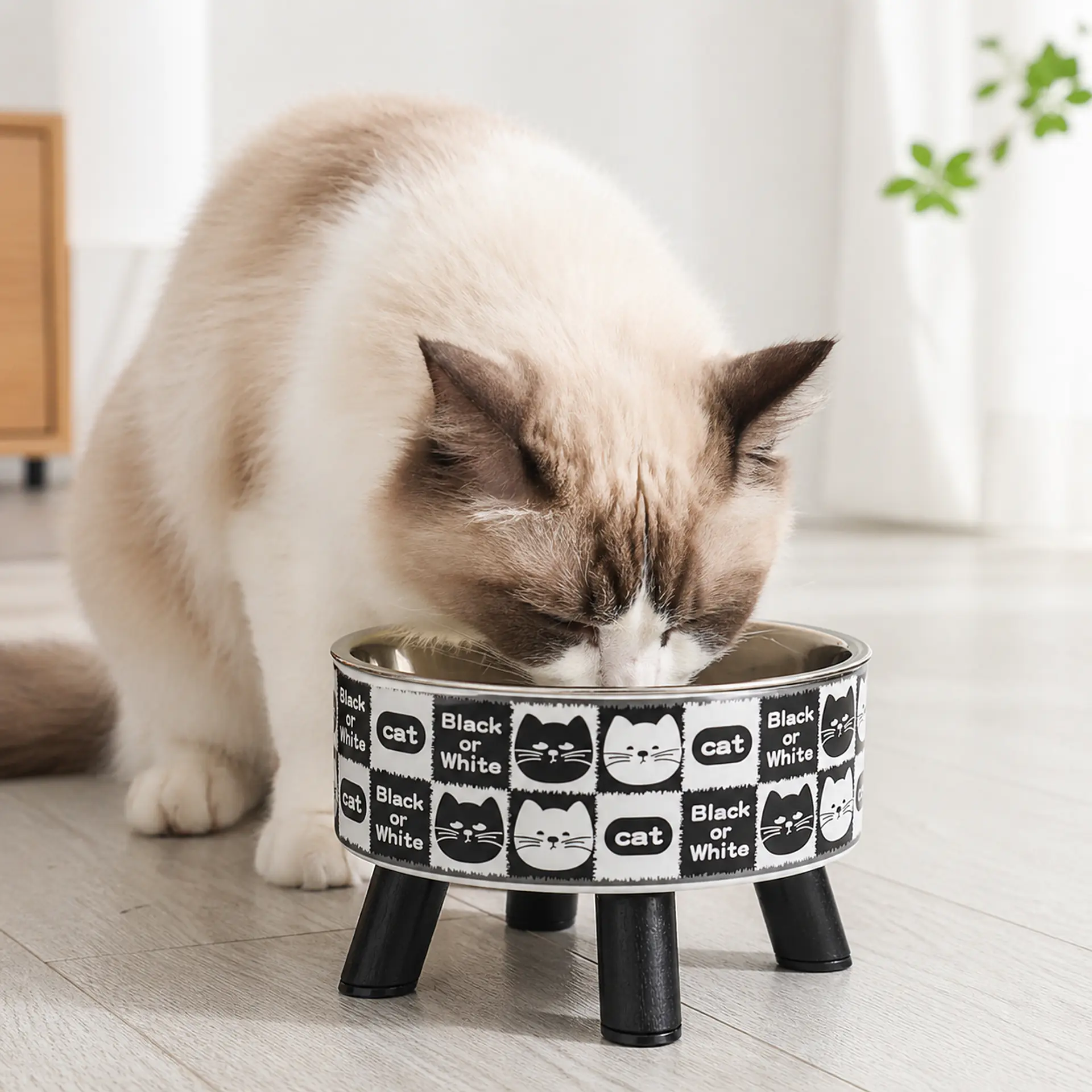 Plato elevado para gato – Acero inoxidable 450 ml 6