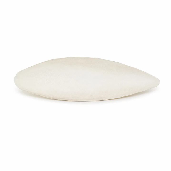 Hueso de Jibia 9-11 cm 1