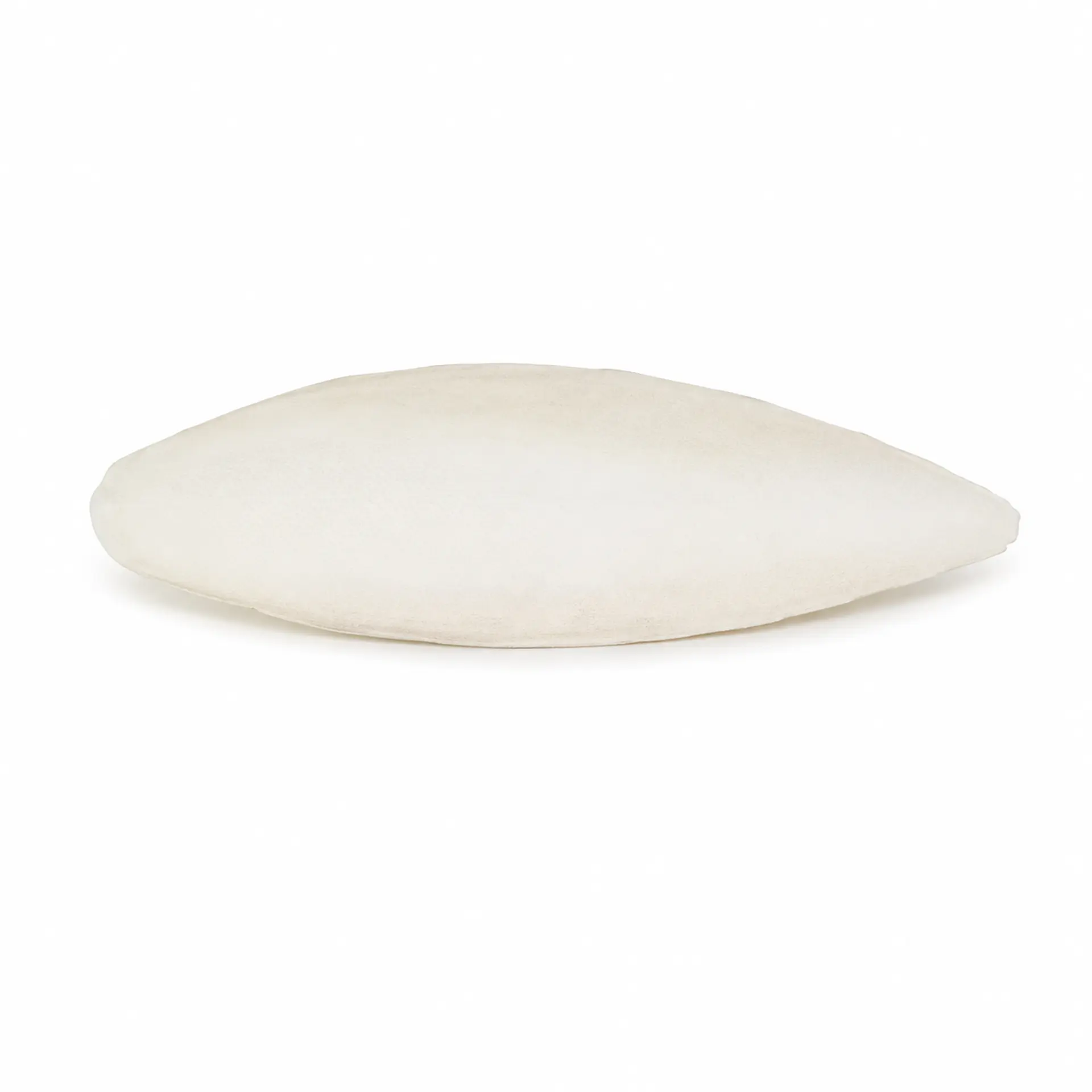 Hueso de Jibia 9-11 cm 1