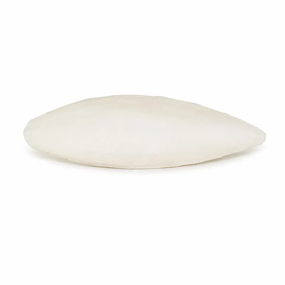 Hueso de Jibia 9-11 cm 1