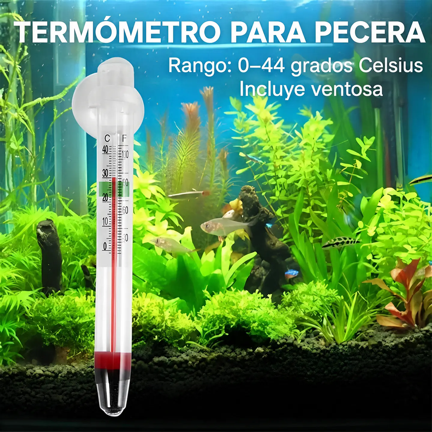Termometro vidrio 5