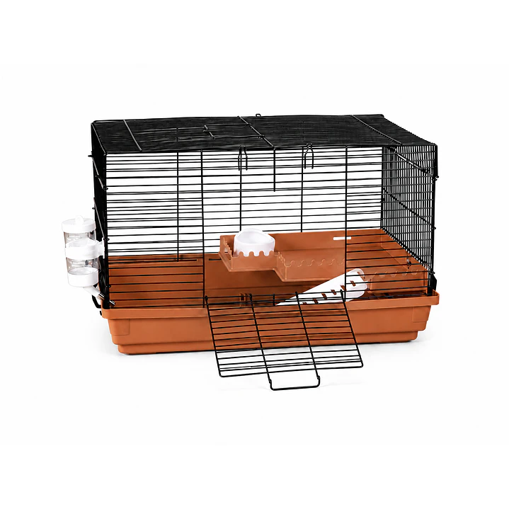 jaula roedores 47x30x30 con bebedero comedeor repisa y escalera 1