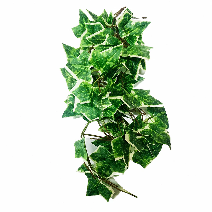 Planta colgante Hiedra NFF-115 2