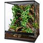 Planta colgante Hiedra NFF-115 - Miniatura 4