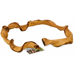 Liana Flexible Decorativa para Terrarios – 120 cm