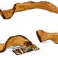 Liana Flexible Decorativa para Terrarios – 120 cm - Miniatura 1