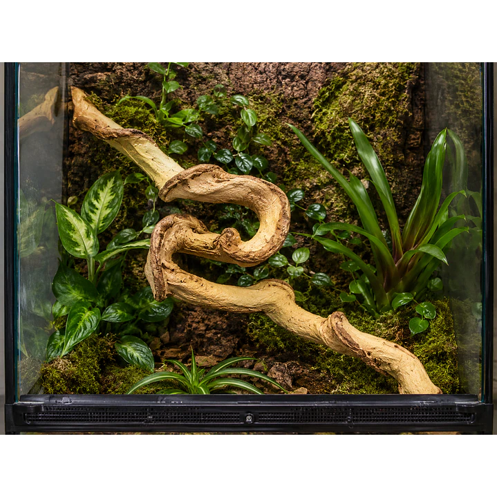 Liana Flexible Decorativa para Terrarios – 120 cm 4