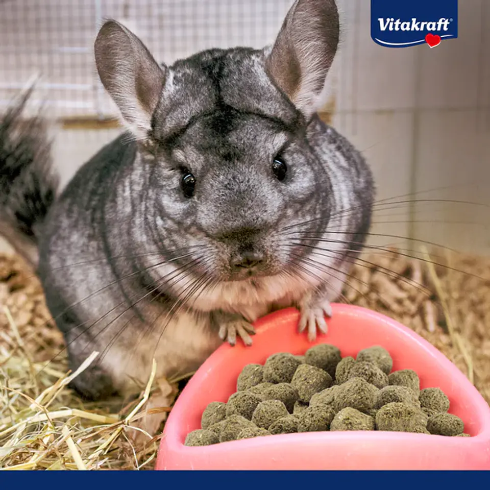 VITAKRAFT VITA SPECIAL CHINCHILLAS 3