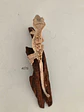 Gecko Crestado (Correlophus ciliatus) - Miniatura 2