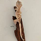 Gecko Crestado (Correlophus ciliatus) - Miniatura 3