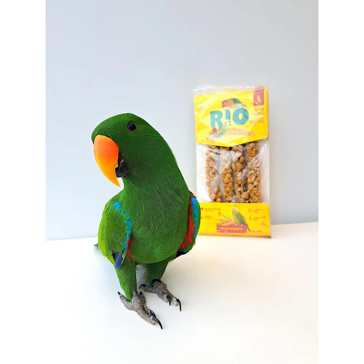 RIO Mijo en Espiga para Aves – 100 g 1