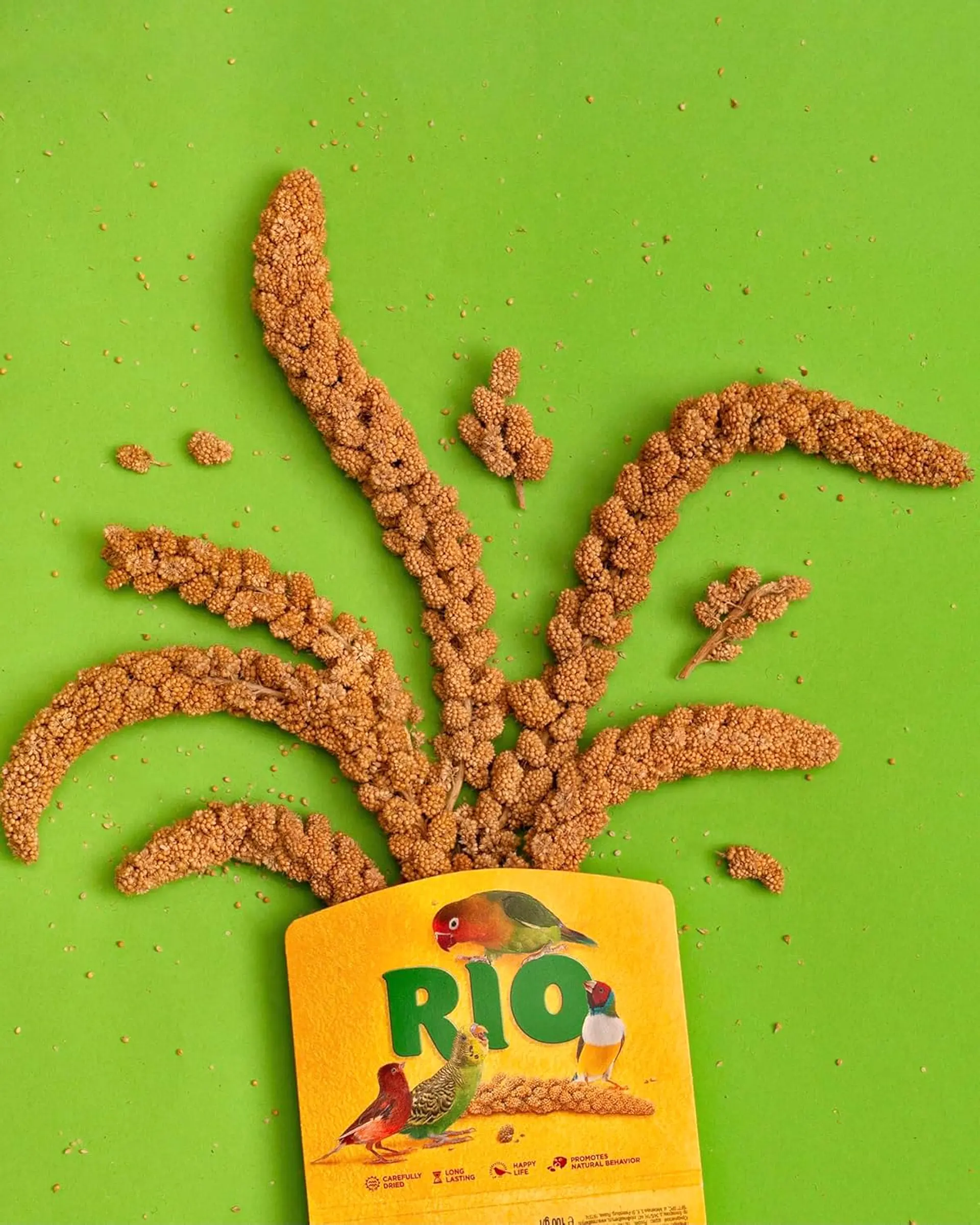 RIO Mijo en Espiga para Aves – 100 g 3