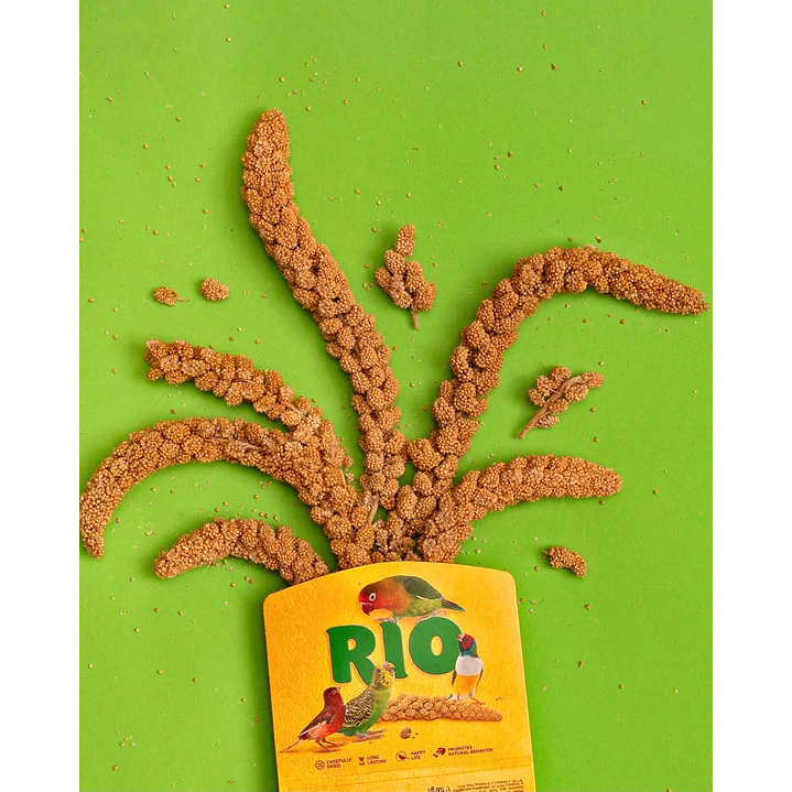 RIO Mijo en Espiga para Aves – 100 g 3