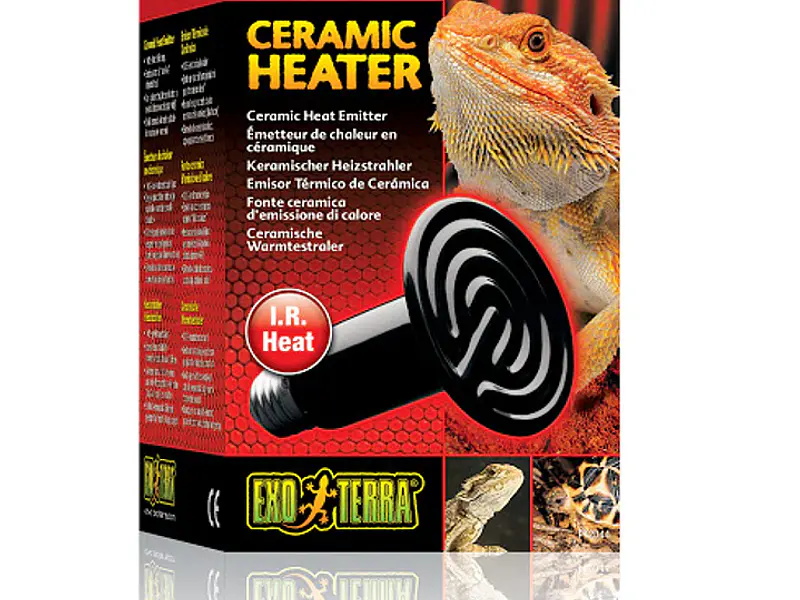¿Cómo mantener la temperatura de tu reptil con un termostato para terrario?