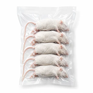 Ratones congelados