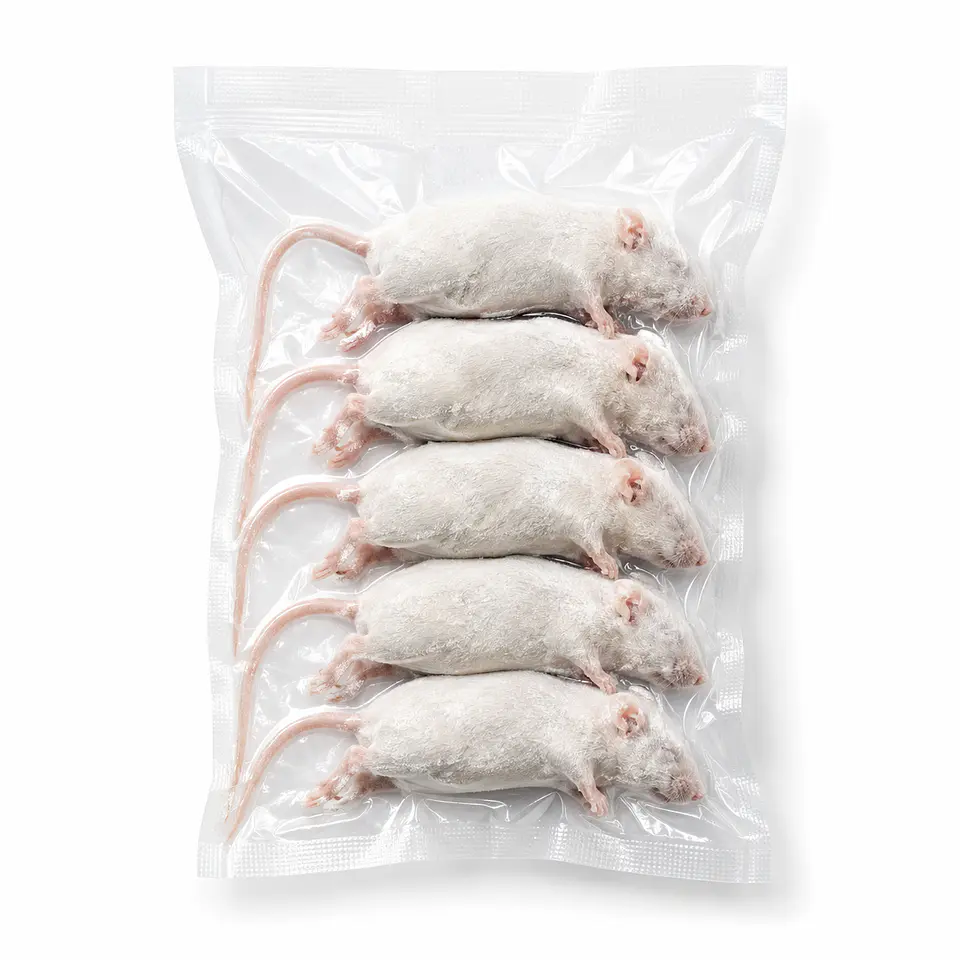Ratones congelados 1