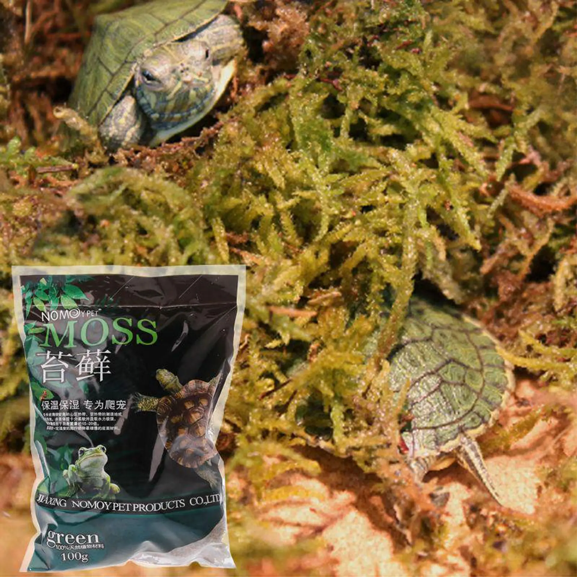 Musgo 100 g 2