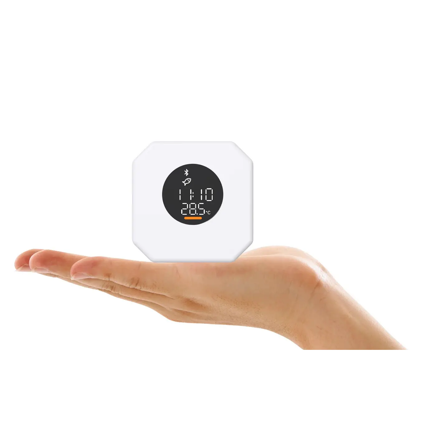 Chihiros Doctor 5: Control de Algas y Temperatura 2