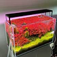 Chihiros WRGB II Slim: Luz LED para Acuario Plantado - Miniatura 1