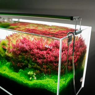 Chihiros B Series: Luz LED para Acuario Plantado