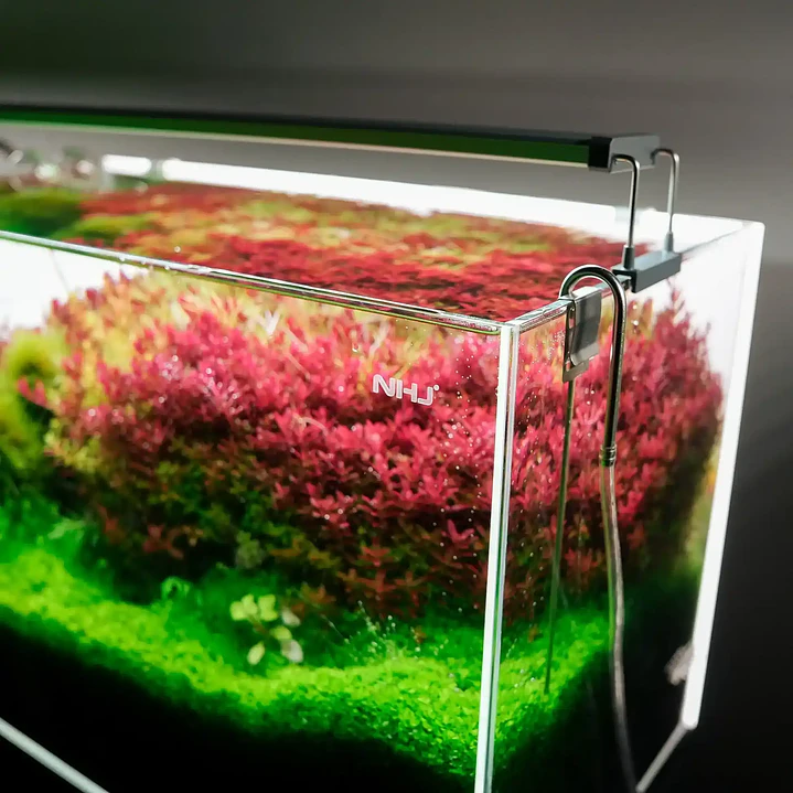 Chihiros B Series: Luz LED para Acuario Plantado 1