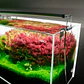 Chihiros B Series: Luz LED para Acuario Plantado - Miniatura 1
