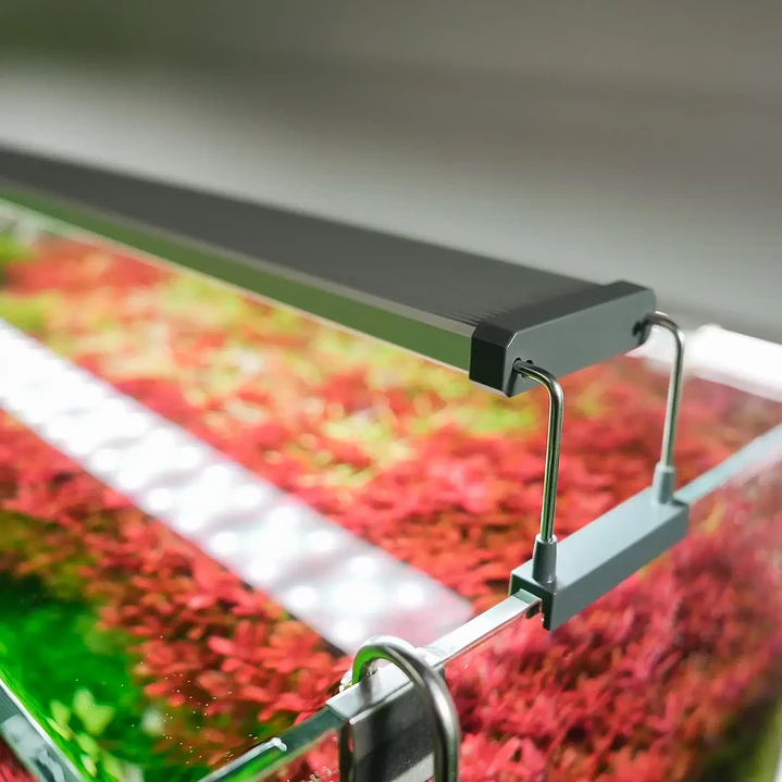 Chihiros B Series: Luz LED para Acuario Plantado 2