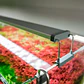 Chihiros B Series: Luz LED para Acuario Plantado - Miniatura 2