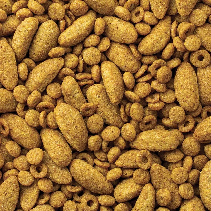Alimento Mazuri para Aves Grandes 1,36 Kg 2