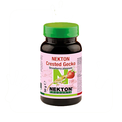Nekton Crested Gecko 100 g | Alimento Completo para Gecko Crestado