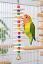 Juguete Colgante para Loro con 12 Huesos de Jibia - Miniatura 2