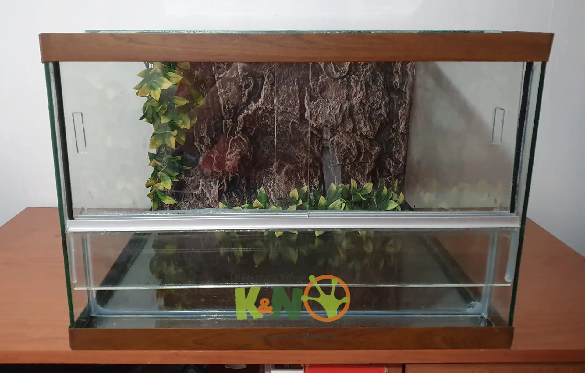 Terrarios Terrestres 1