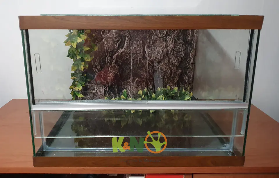 Terrarios Terrestres 1