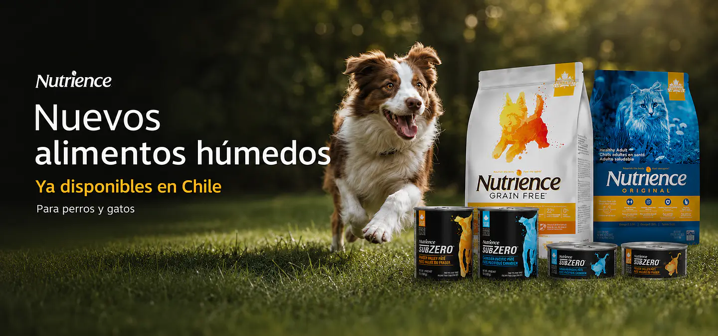 K&N Mascotas