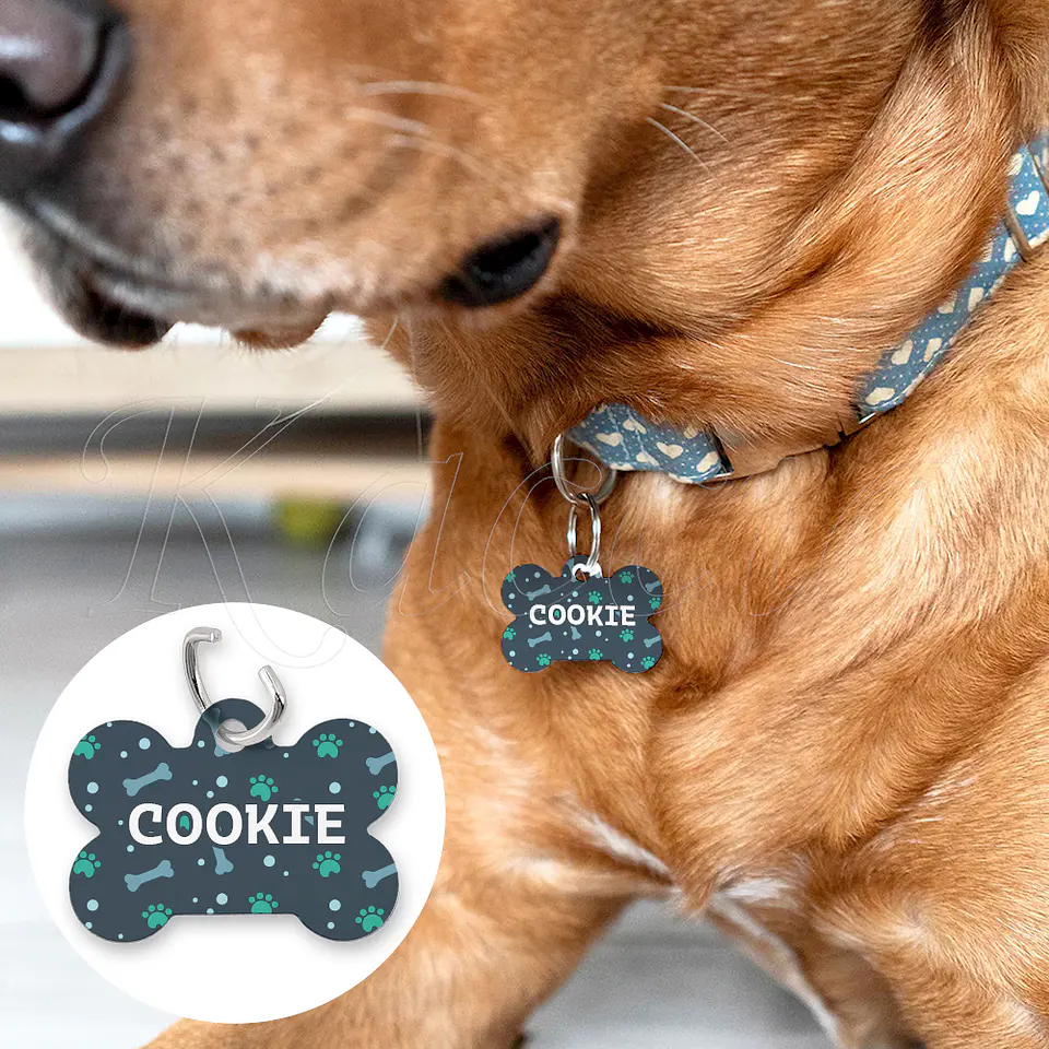 Chapa de Identificação para Cães e Gatos Bluebone 1