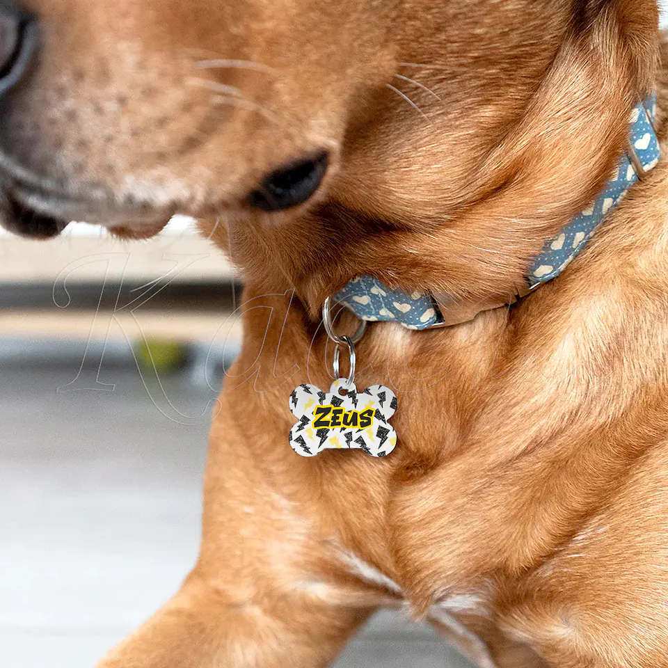Chapa de Identificação para Cães e Gatos Raios 4