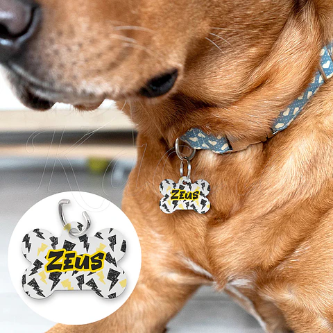 Chapa de Identificação para Cães e Gatos Raios