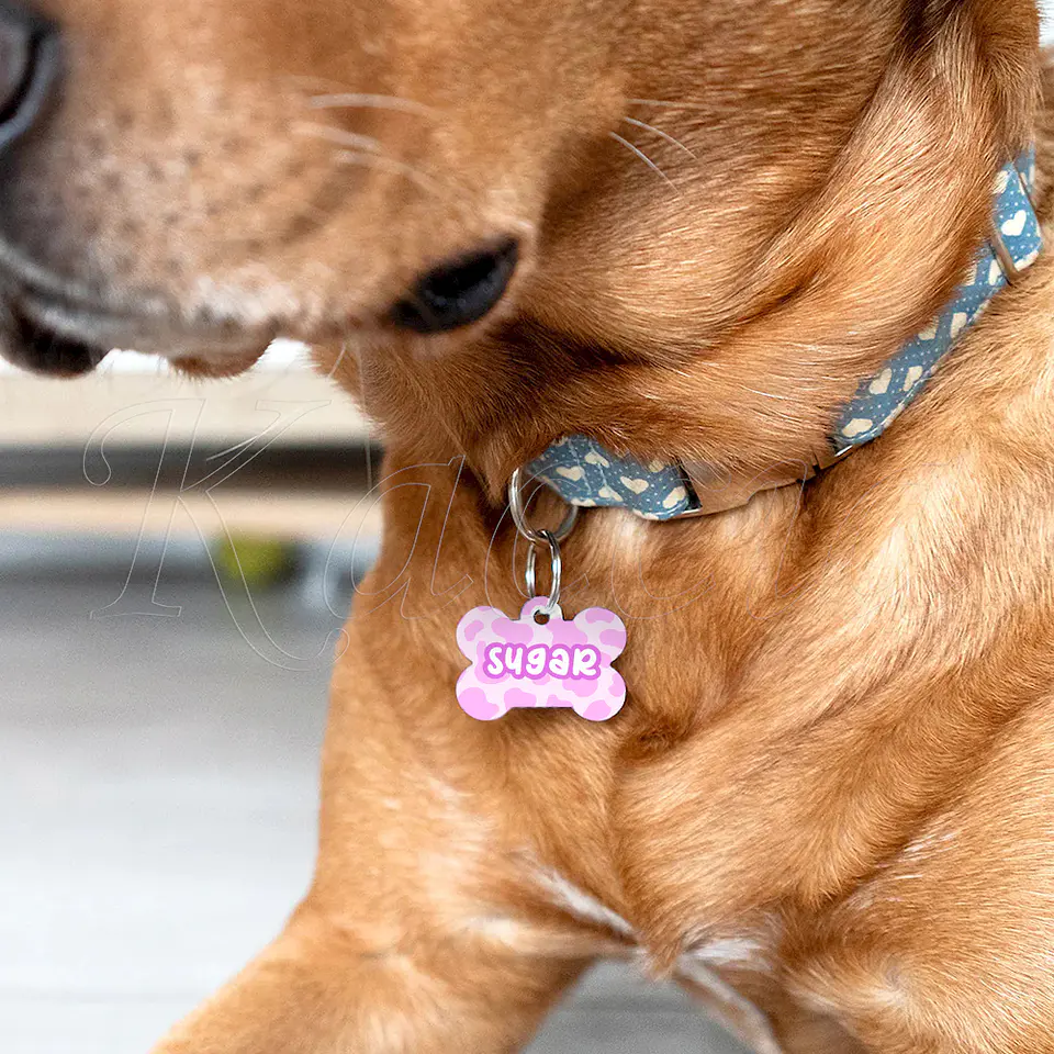 Chapa de Identificação para Cães e Gatos Manchas Rosa 4