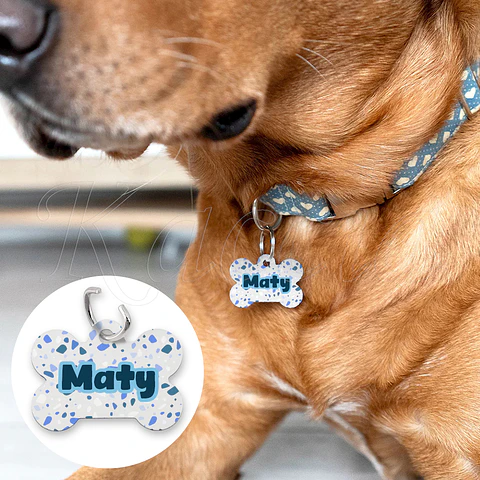 Chapa de Identificação para Cães e Gatos Blueish