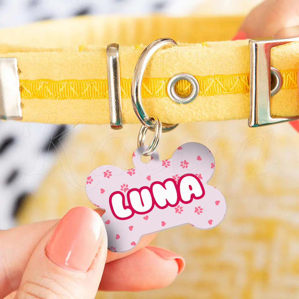 Chapa de Identificação para Cães e Gatos Pinky 5