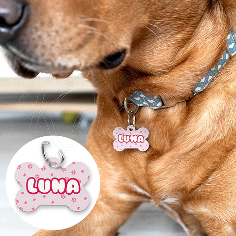 Chapa de Identificação para Cães e Gatos Pinky