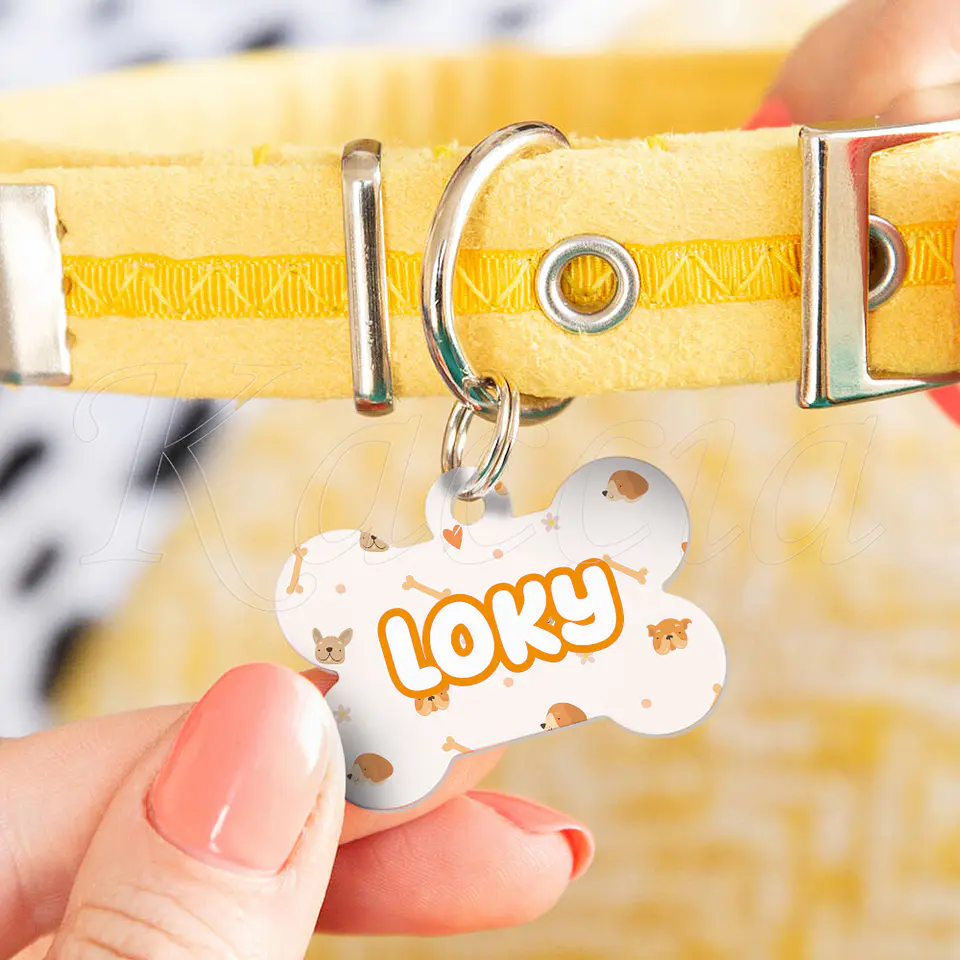 Chapa de Identificação para Cães Doggy 5