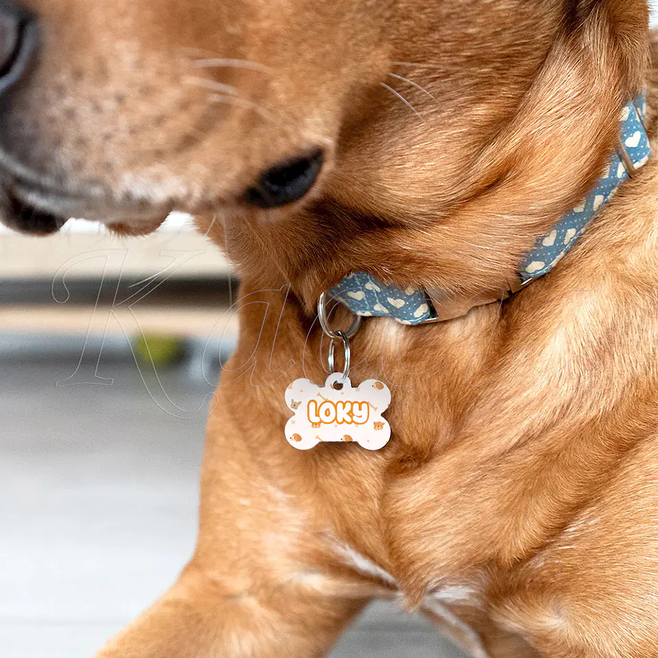 Chapa de Identificação para Cães Doggy 4