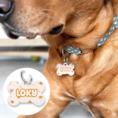 Chapa de Identificação para Cães Doggy