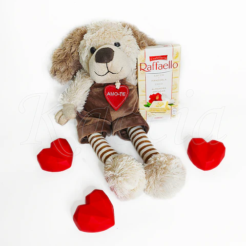Pack Cão Peluche com Chocolate Raffaello 